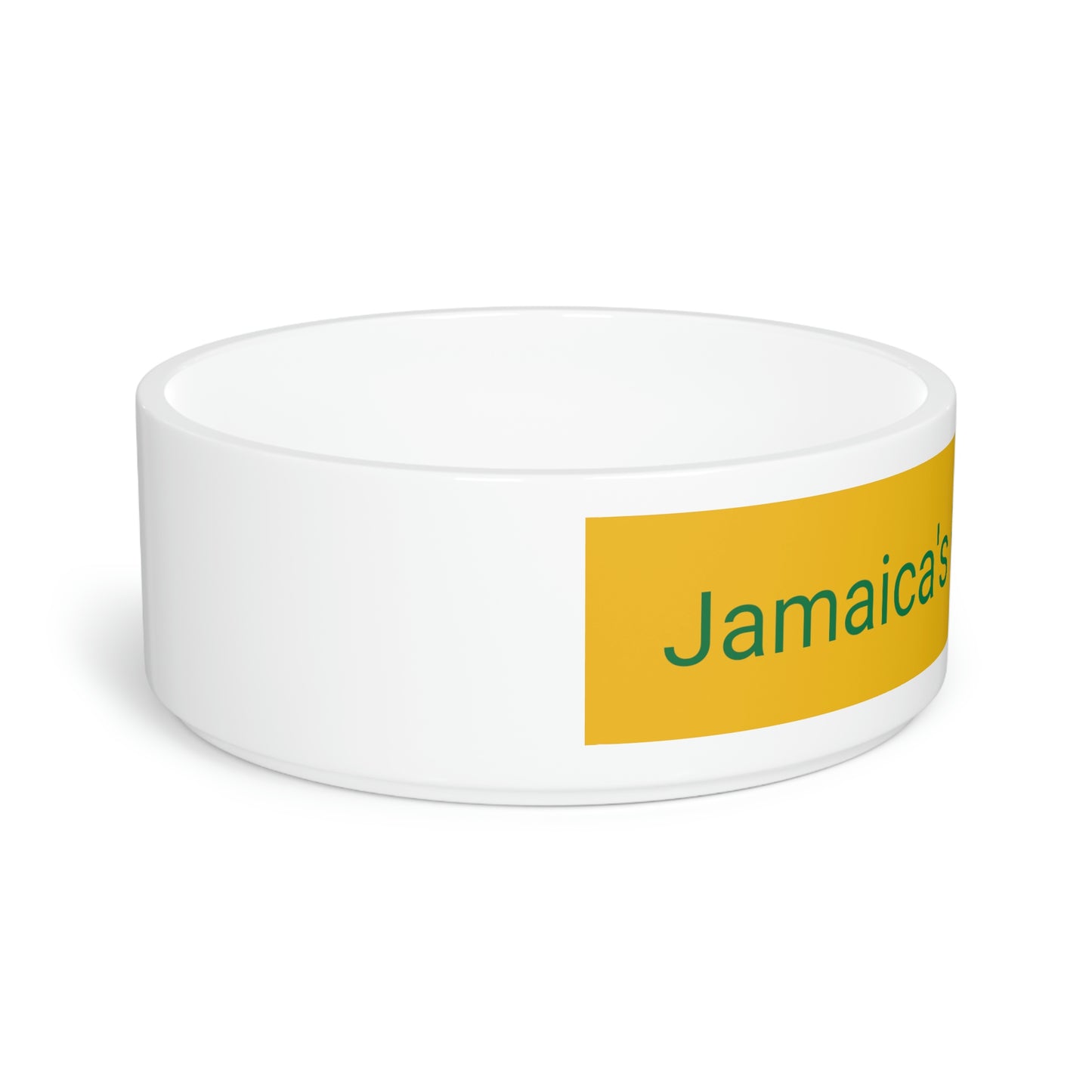 Pet Bowl